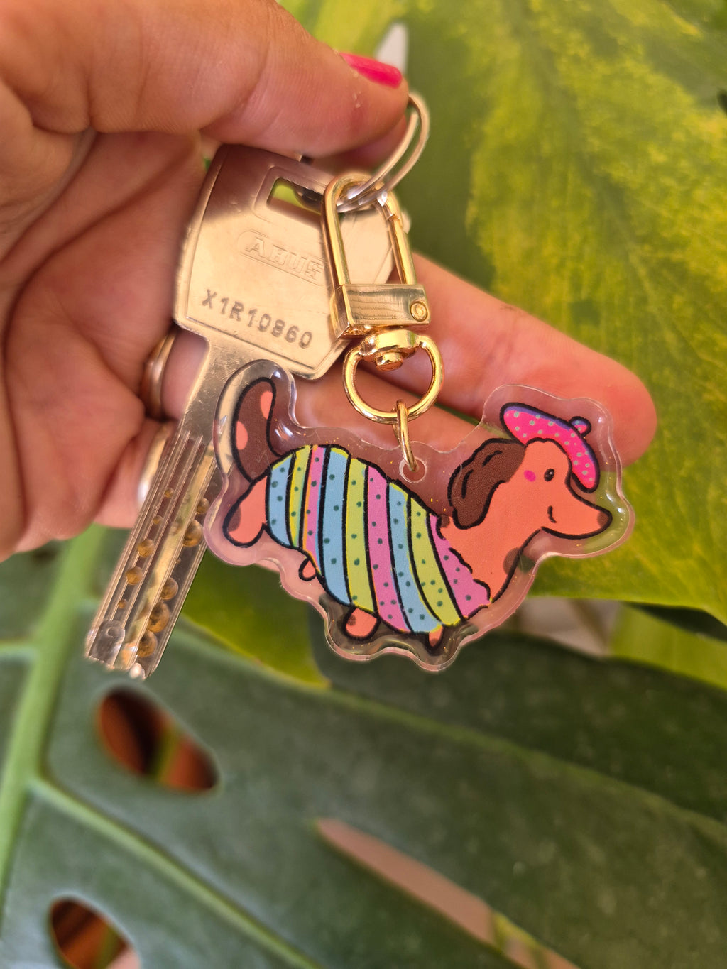 Llavero Acrílico Perro Salchicha Kawaii | Atelier Arnau