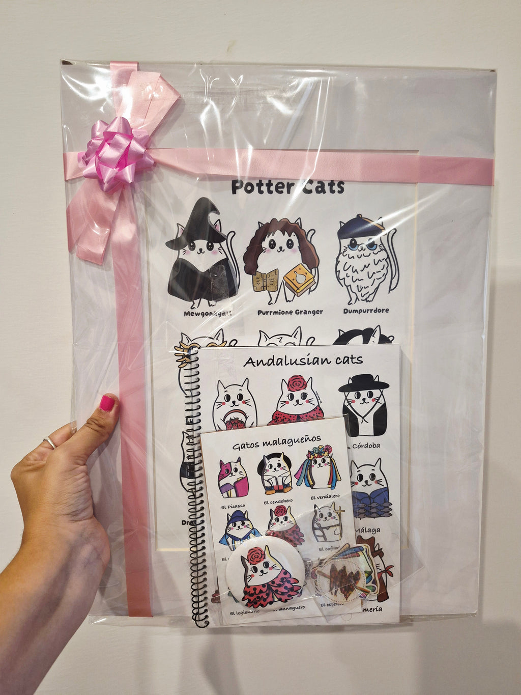 Pack regalo Harry Potter y más