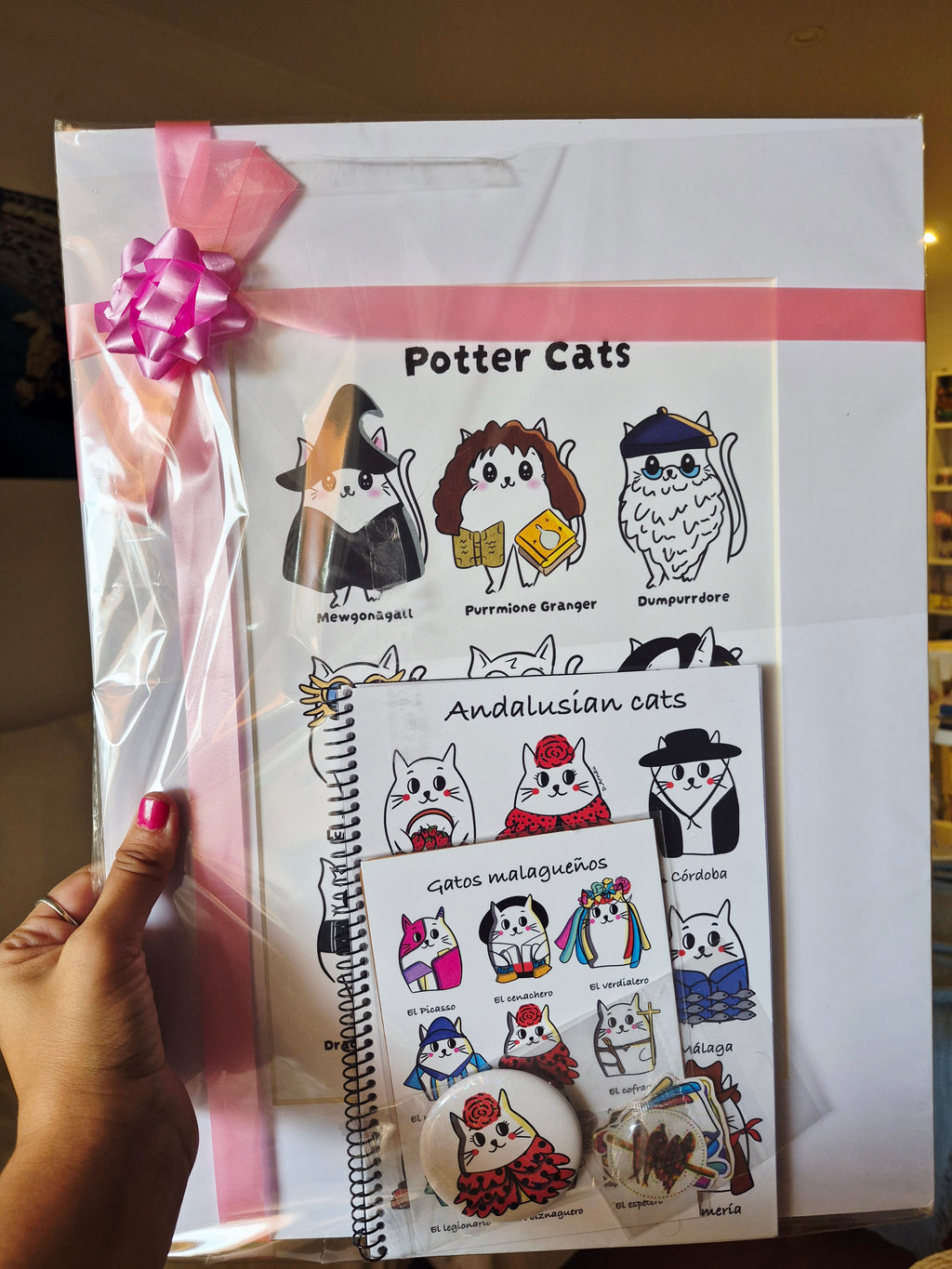 Pack regalo Harry Potter y más