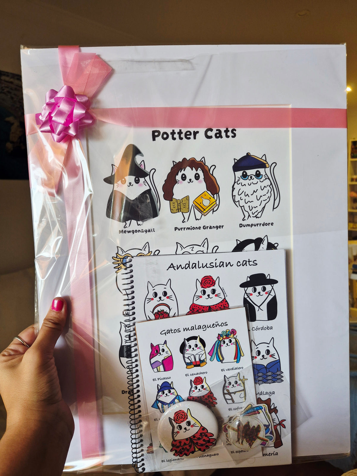 Pack regalo Harry Potter y más